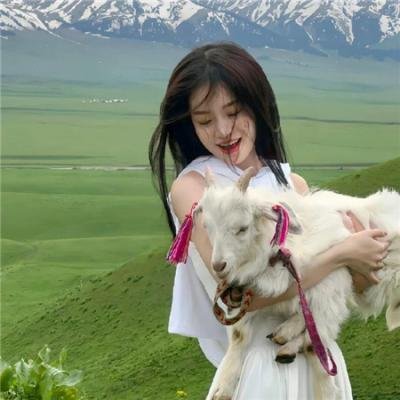 神龙赌圣之旗开得胜